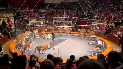 RUSSIAN CIRCUS