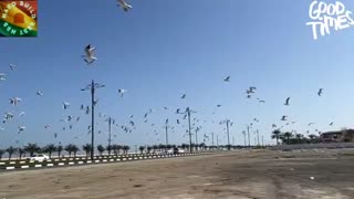 Relaxing Music | Sleeping, Meditation, Stress Relief | [6060] ⭐️