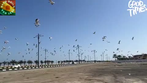 Relaxing Music | Sleeping, Meditation, Stress Relief | [6060] ⭐️