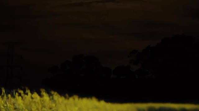 Night views with you