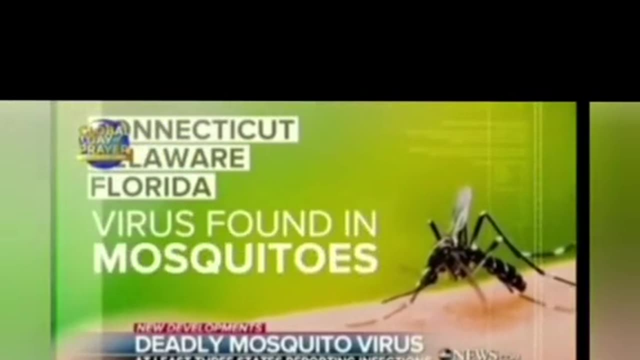 1 BILLION GMO MOSQUITOES RELEASED