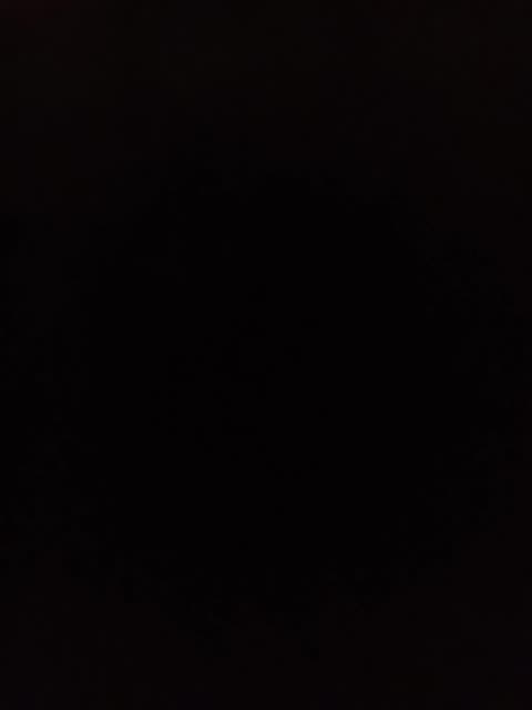 Harry Sisson Threatened Donald Trump's life