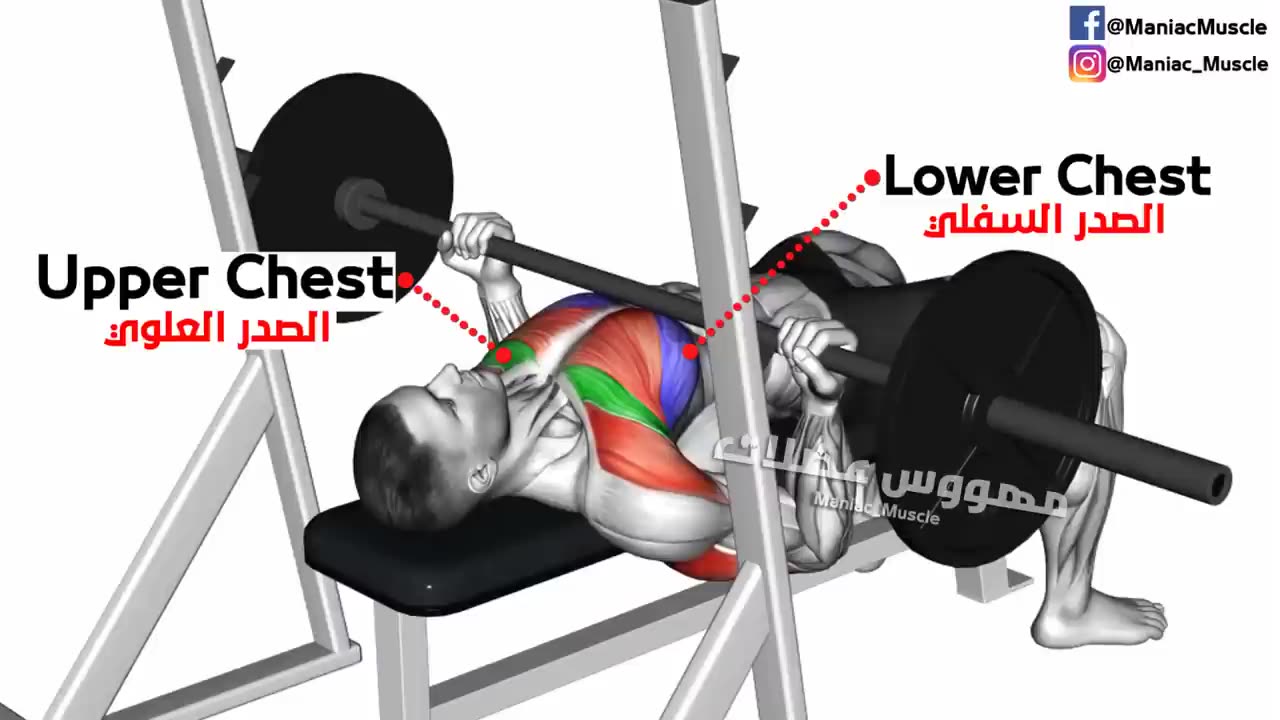 The9 Best Exercises for Chest workout