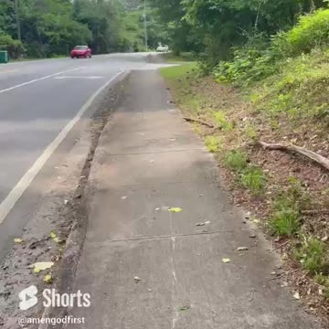 Who else’s loves a morning hike #shorts