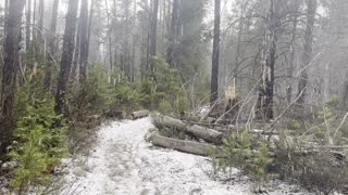 FREAK HAIL STORM While I'm Deep In the Forest! – Deschutes River – Central Oregon – 4K