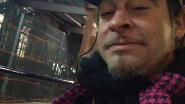 #BoNeZSHOW