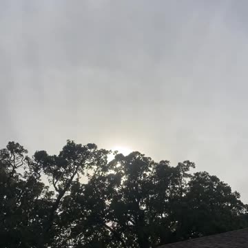 Govt military demons