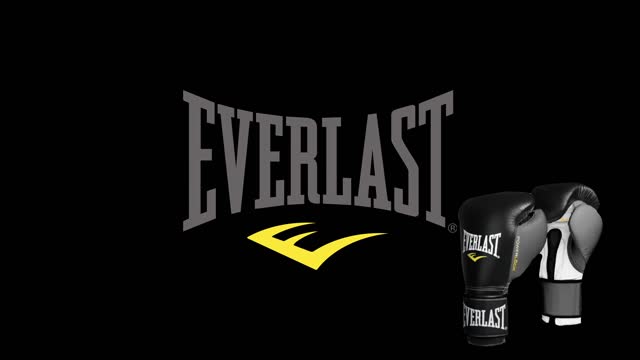 Everlast | SnipsnapMedia