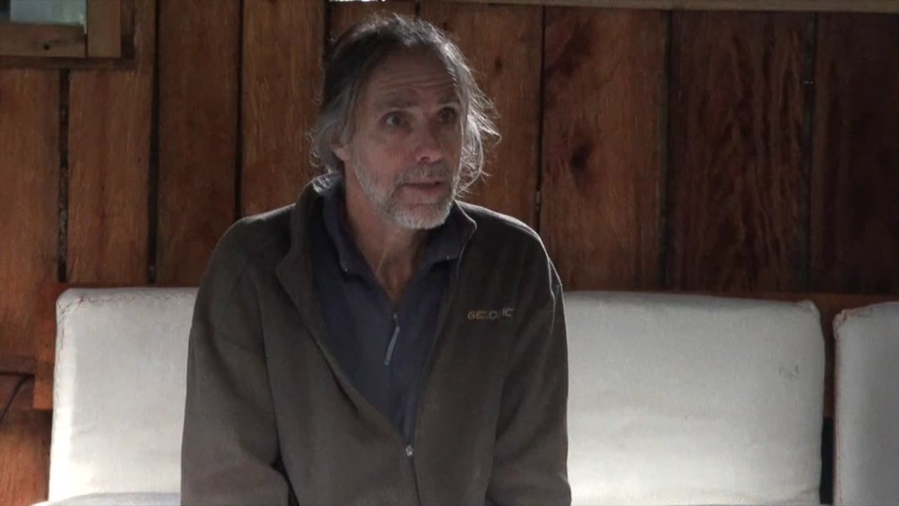 The model is working