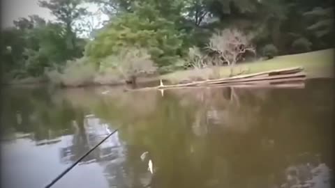 Bass Fishing Trip