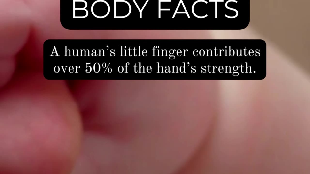 The Wonders of Human Anatomy: Captivating Facts