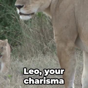 AstroLove AI Valentine's Guide for Each Zodiac Sign