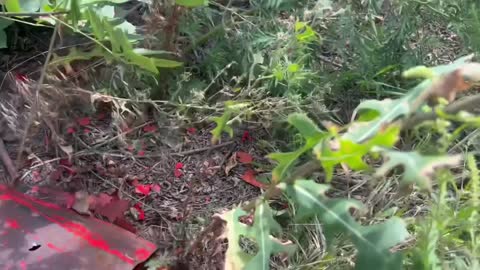 Searching Abandoned Russian APC
