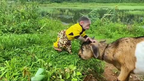 Baby monkey has a friend