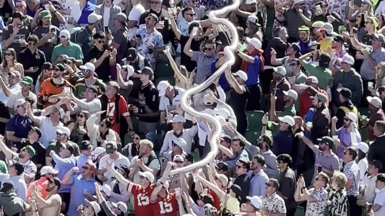 Golf Fans Create Beer Cup Snake