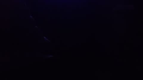 Test Video