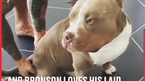 Bully Loves To Copy His Dad | LADbible