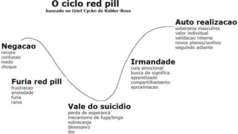 RACCOONING RACCOON - PÍLULAS, CICLO RED PILL E NOVATOS