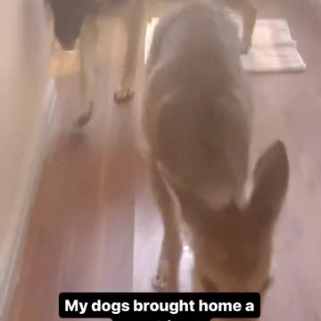 “If you ask she’ll let you stay”💀