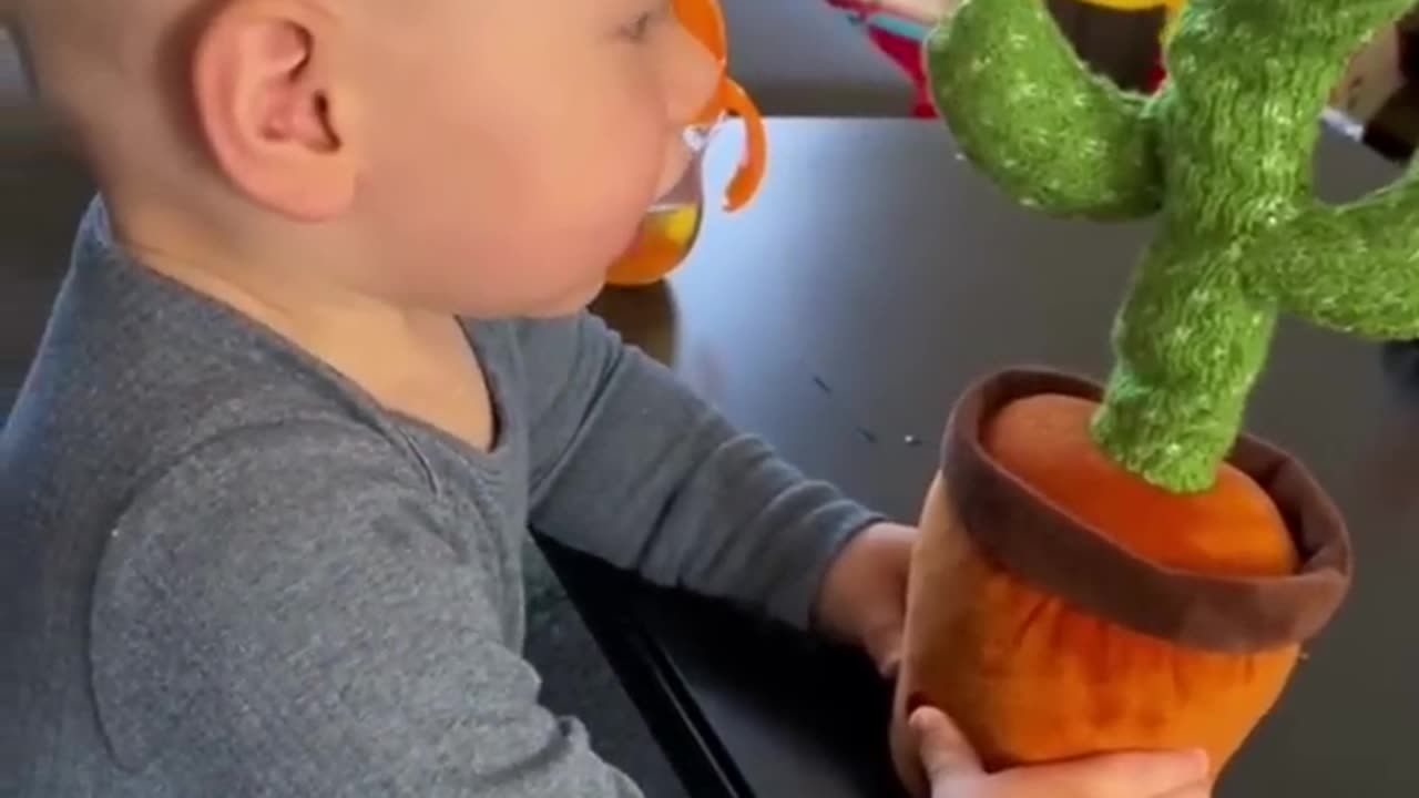 Cute Baby is playing with dancing Cuctus