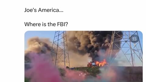 Obiden's America - Were is the FBI?