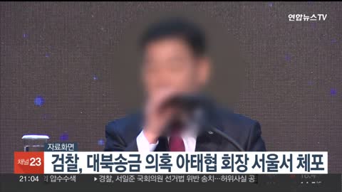 검찰, 대북송금 의혹 아태협 회장 서울서 체포