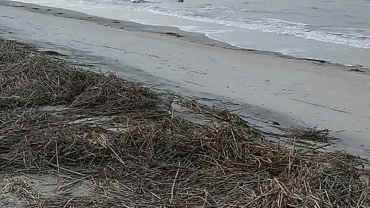 Close of day at ft. Clinch state park