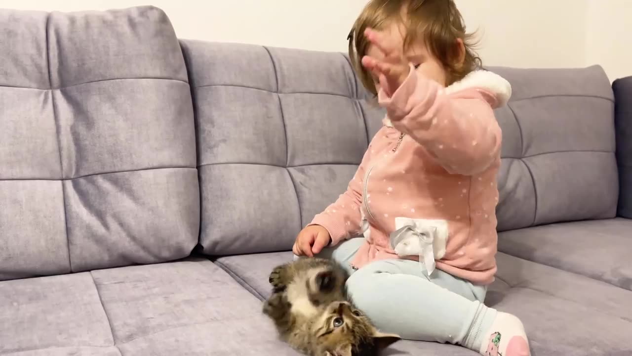 Cute Baby Meets New Baby Kitten for the First Time!