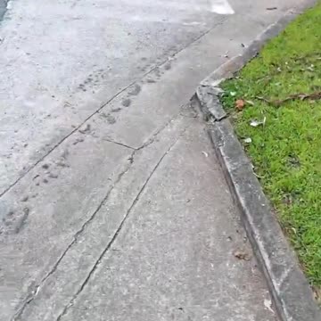 Higher Conscious & Intellect #shorts