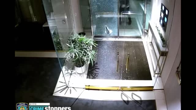 3 Thieves Take $500K in Jewelry During Heist NYPD