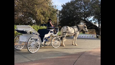 White and Blue Carriage