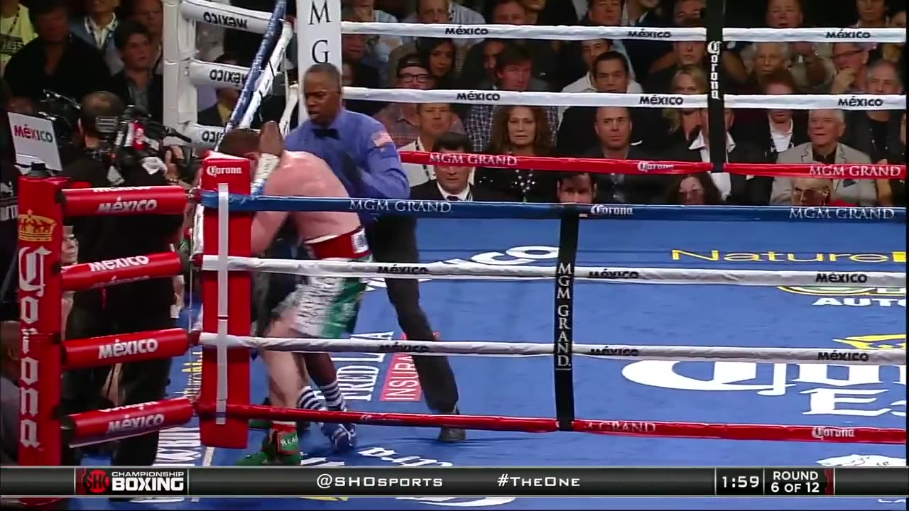 floyed mayweather vs canelo