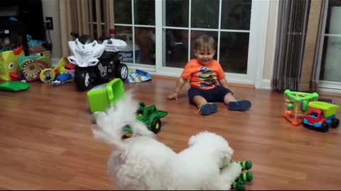 Funny video .short video .cat . funny dogs . baby funny.