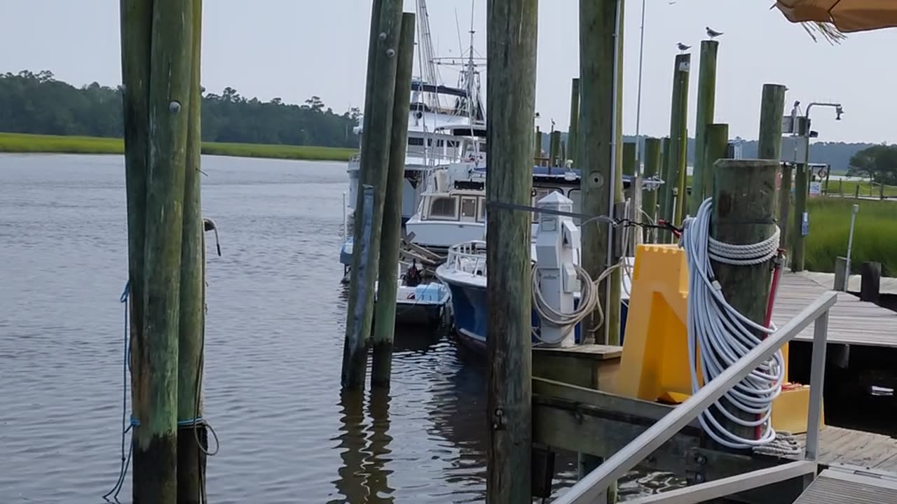 Waterfront Seafood Shack