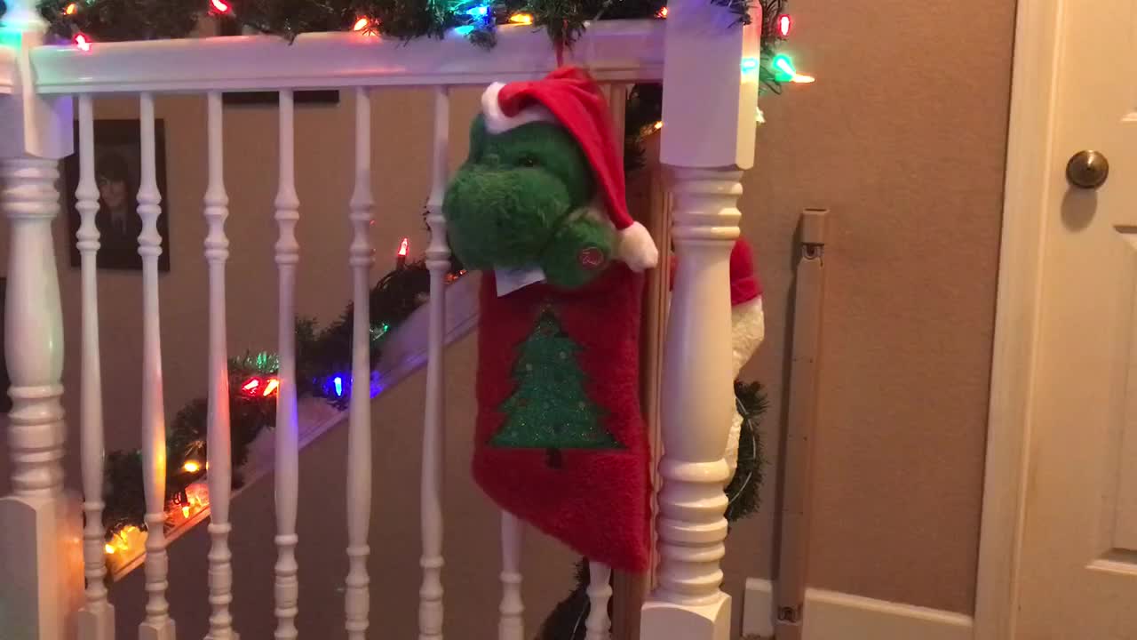 2022 Dandee Animated Dinosaur stocking!