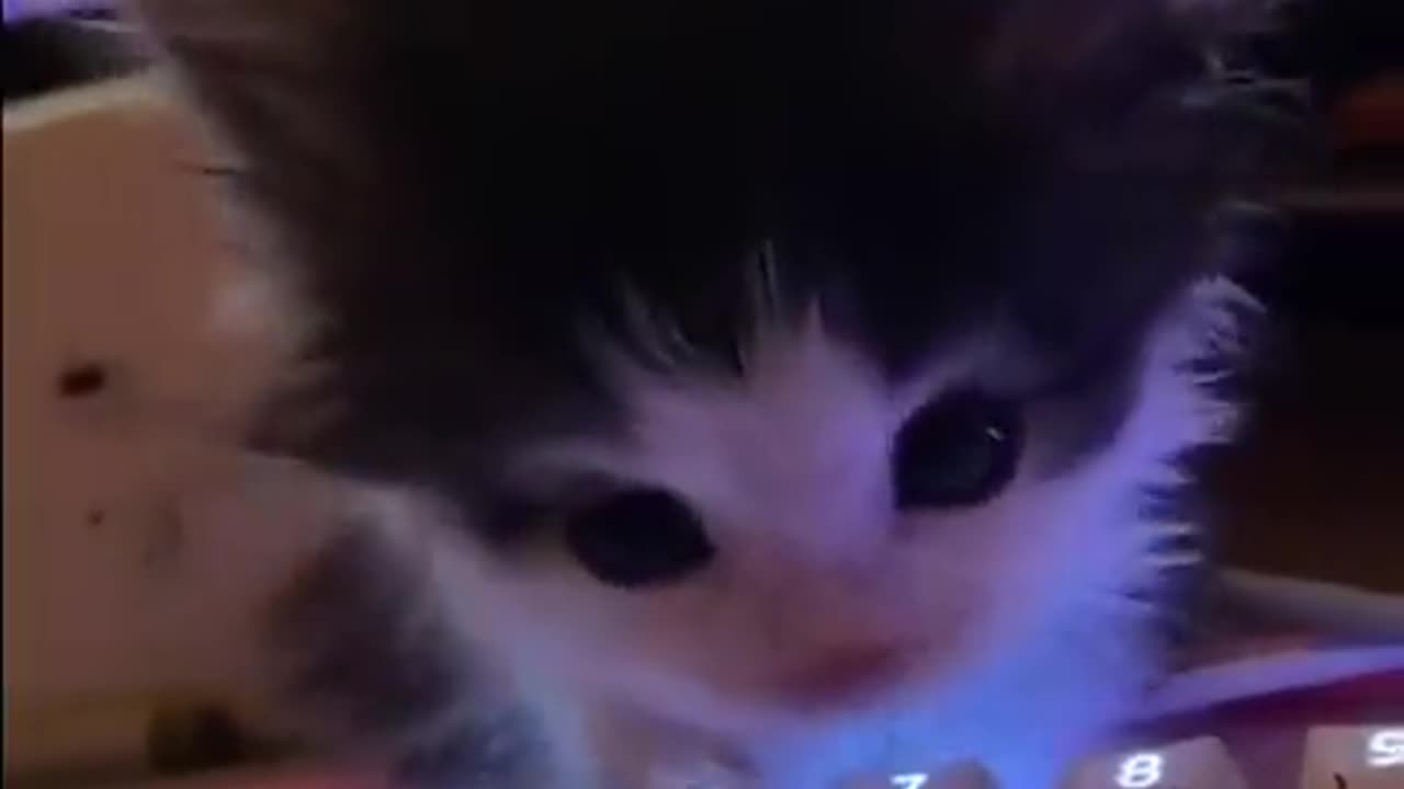 ❤️