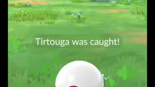 Pokémon GO-Shadow Tirtouga