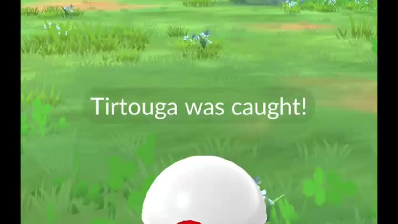 Pokémon GO-Shadow Tirtouga