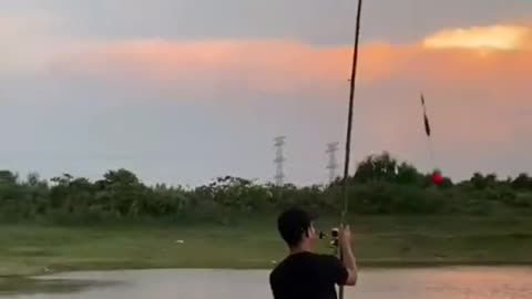 This is a beautiful and charming water-dwelling species