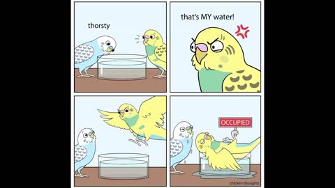 Funny Comics With A Parrot Twist