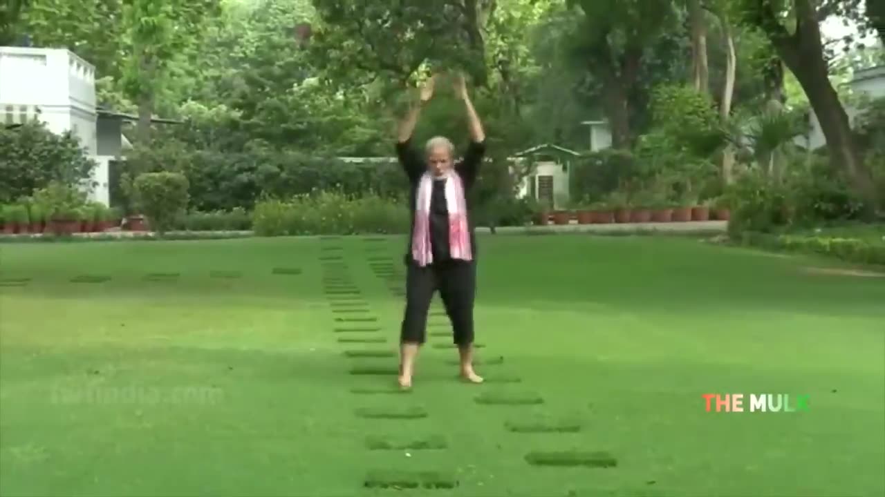 New viral video of modi ji in foreign| the mulk .