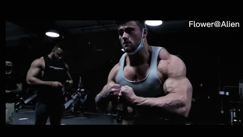 Best gym workout videos