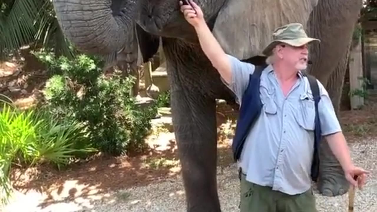 Intelligent elephant