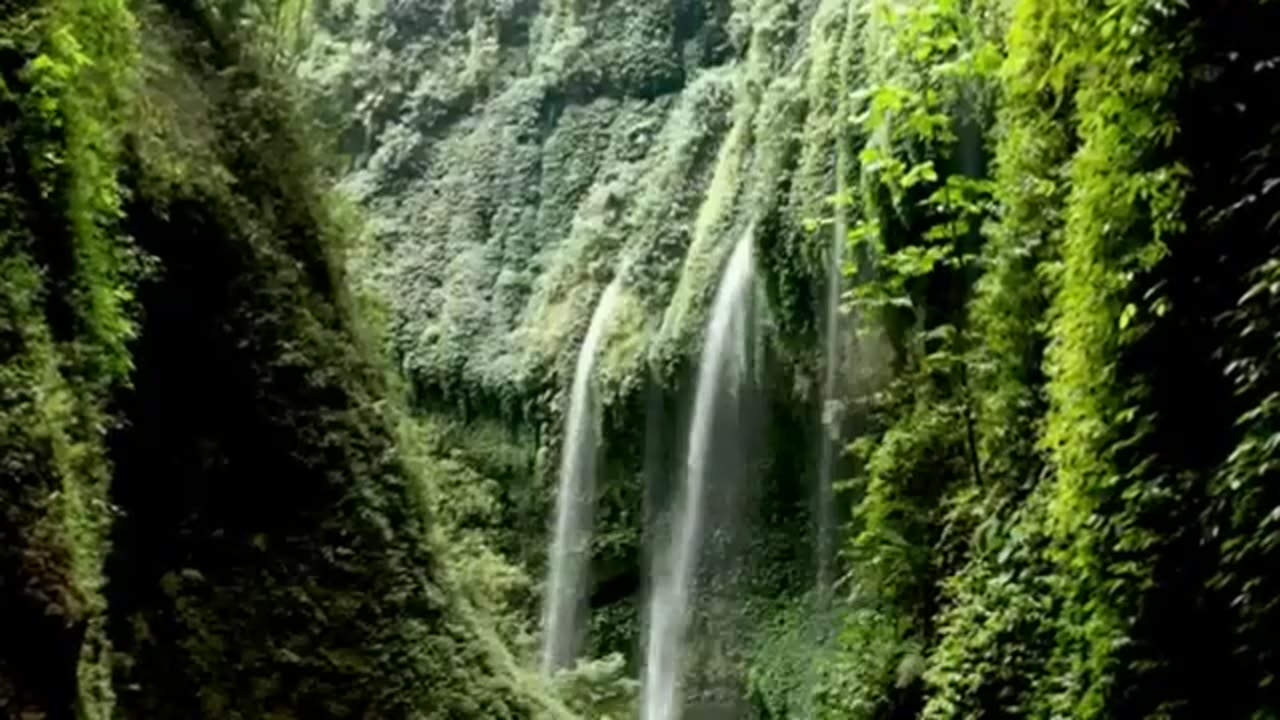 Relaxing Music | Sleeping, Meditation, Stress Relief | [7770] ⭐️