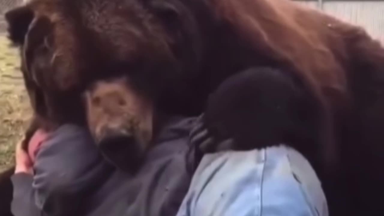 Nature and Animals attack!…P2