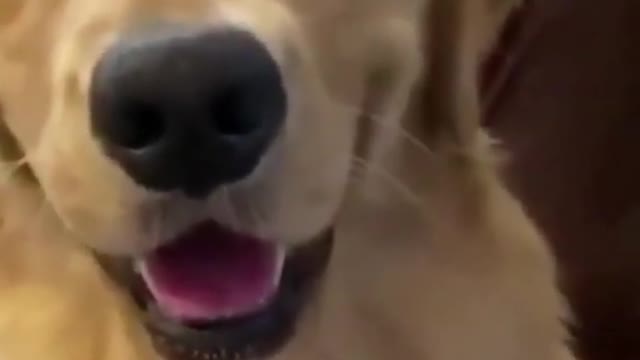 Perfect day for enjoying a good laugh!!!