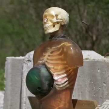 Average Pirate Experience