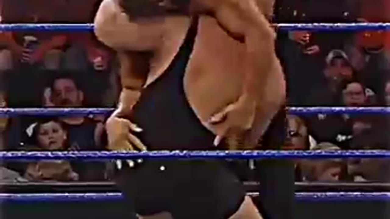 WWE bichhoo vs Khali