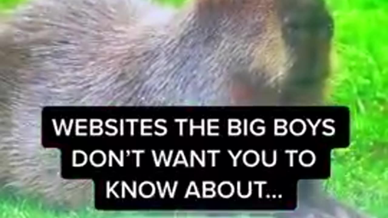 Websites the big boys don’t want you to know about…