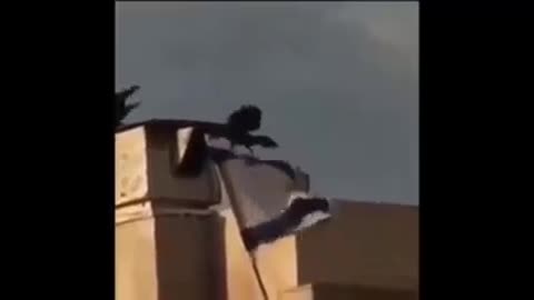 Eνα ξεκαθαρο μυνημα μ@@κες της Σιων Правосудие жестоко